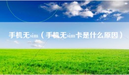 手机无sim（手机无sim卡是什么原因）