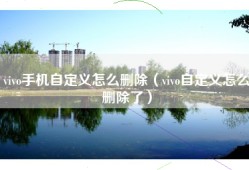 vivo手机自定义怎么删除（vivo自定义怎么删除了）