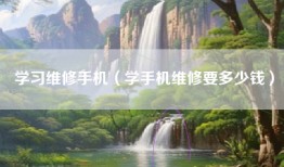 学习维修手机（学手机维修要多少钱）