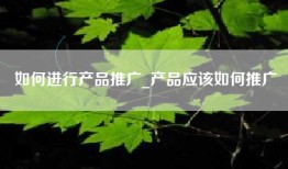 如何进行产品推广_产品应该如何推广
