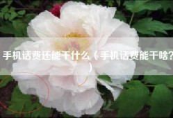 手机话费还能干什么（手机话费能干啥？）