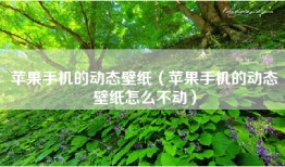 苹果手机的动态壁纸（苹果手机的动态壁纸怎么不动）