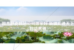 图木舒克网站公司哪家好 新疆汇通天下网络营销
