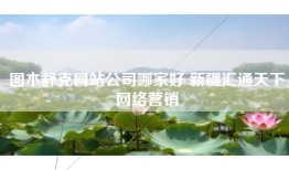 图木舒克网站公司哪家好 新疆汇通天下网络营销