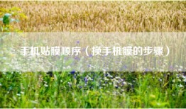 手机贴膜顺序（换手机膜的步骤）