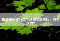 国企数字化转型：从观念到实践，如何落地？