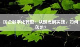 国企数字化转型：从观念到实践，如何落地？