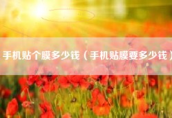 手机贴个膜多少钱（手机贴膜要多少钱）