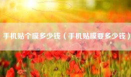 手机贴个膜多少钱（手机贴膜要多少钱）