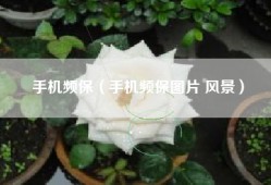 手机频保（手机频保图片 风景）