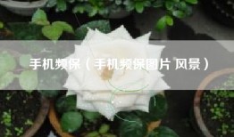 手机频保(手机频保图片 风景)