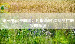 第一书记孙明鹏：扎根基层 绘制乡村振兴的蓝图