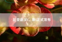 比亚迪汉L、唐L正式发布