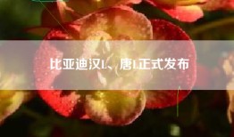 比亚迪汉L、唐L正式发布