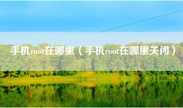 手机root在哪里（手机root在哪里关闭）