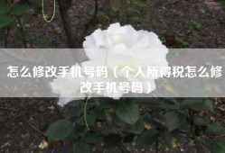 怎么修改手机号码（个人所得税怎么修改手机号码）