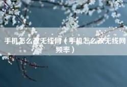 手机怎么改无线网（手机怎么改无线网频率）