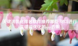 关键词优化排名软件推荐哪些 可以进行关键词优化的app合集