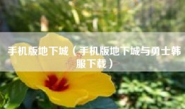 手机版地下城（手机版地下城与勇士韩服下载）