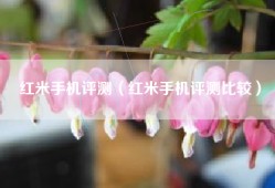 红米手机评测（红米手机评测比较）