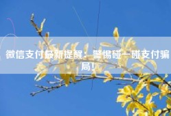 微信支付最新提醒：警惕碰一碰支付骗局！