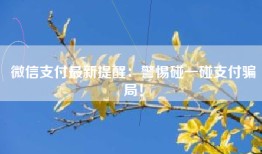 微信支付最新提醒：警惕碰一碰支付骗局！
