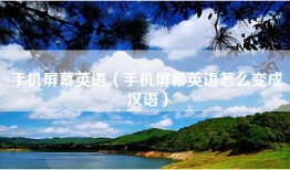 手机屏幕英语（手机屏幕英语怎么变成汉语）