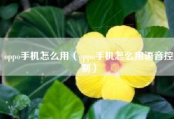 oppo手机怎么用（oppo手机怎么用语音控制）
