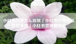 小红书付费怎么投放｜小红书付费引流投放策略｜小红书营销服务商