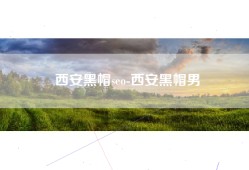 西安黑帽seo-西安黑帽男
