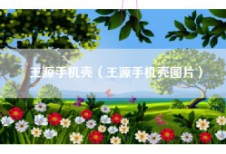 王源手机壳（王源手机壳图片）