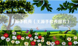 王源手机壳（王源手机壳图片）