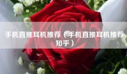 手机直推耳机推荐（手机直推耳机推荐知乎）