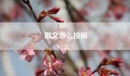 散文怎么投稿