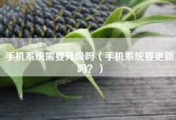 手机系统需要升级吗（手机系统要更新吗？）