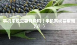 手机系统需要升级吗（手机系统要更新吗？）