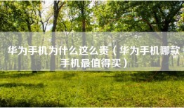 华为手机为什么这么贵(华为手机哪款手机最值得买)