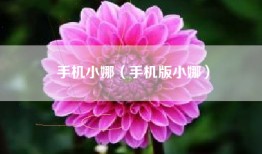 手机小娜（手机版小娜）