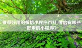推荐好用的微信小程序百科-微信有哪些好用的小程序？