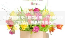 微信碰一碰支付招商加盟，共创智能支付新纪元_精准解释落实