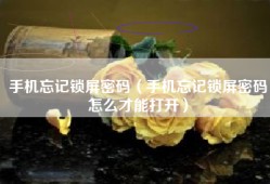 手机忘记锁屏密码（手机忘记锁屏密码怎么才能打开）