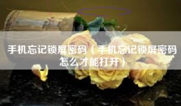 手机忘记锁屏密码(手机忘记锁屏密码怎么才能打开)
