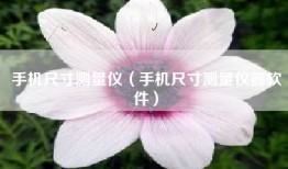 手机尺寸测量仪（手机尺寸测量仪器软件）