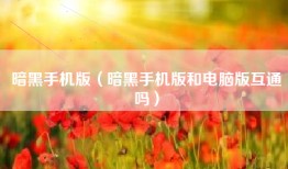 暗黑手机版（暗黑手机版和电脑版互通吗）