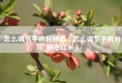 怎么调节手机分辨率（怎么调节手机分辨率红米）