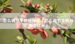 怎么调节手机分辨率（怎么调节手机分辨率红米）