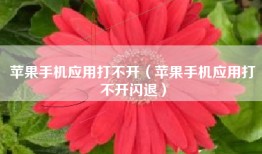 苹果手机应用打不开（苹果手机应用打不开闪退）