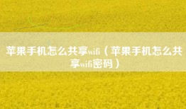 苹果手机怎么共享wifi（苹果手机怎么共享wifi密码）