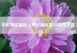 手机测试血压（手机测试血压软件下载）
