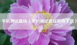 手机测试血压（手机测试血压软件下载）